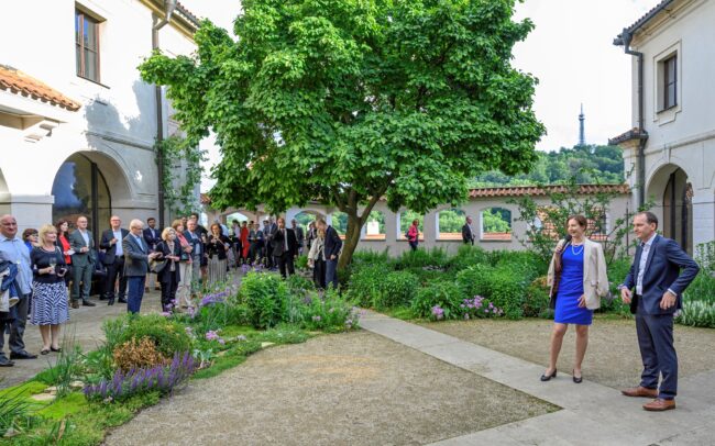 Pan Šamánek vypráví o Fortně